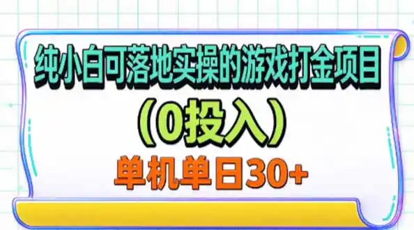 纯小白可落地实操的游戏打金项目(0投入-海淘下载站