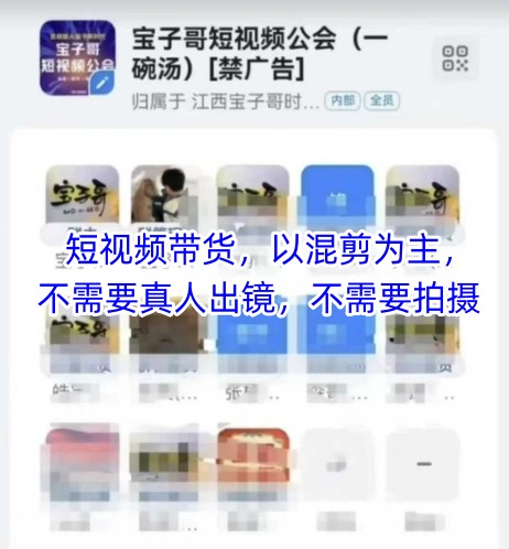 宝子哥头部团队短视频带货，以混剪为主，不需要真人出镜，不需要拍摄【更新26年3月】-海淘下载站