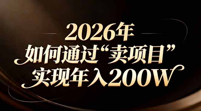 站在2026年的十字路口：一个普通人如何通过卖项目实现年入200万-海淘下载站
