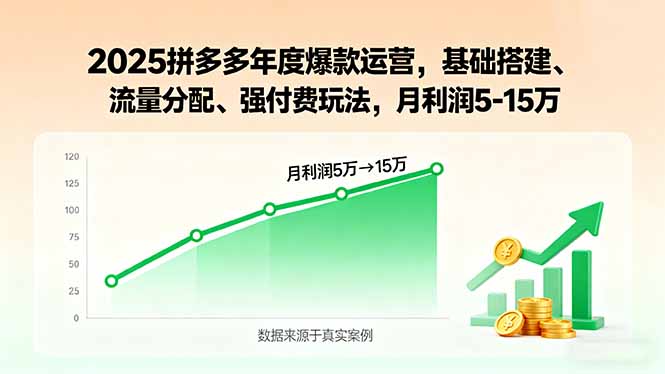2025拼多多年度爆款运营，基础搭建、流量分配、强付费玩法，月利润5-15万-海淘下载站