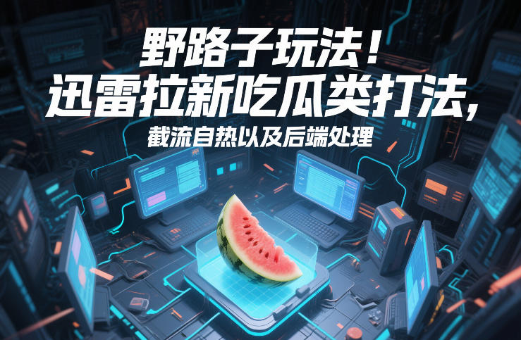 野路子玩法!迅雷拉新吃瓜类打法,截流自热以及后端处理-海淘下载站