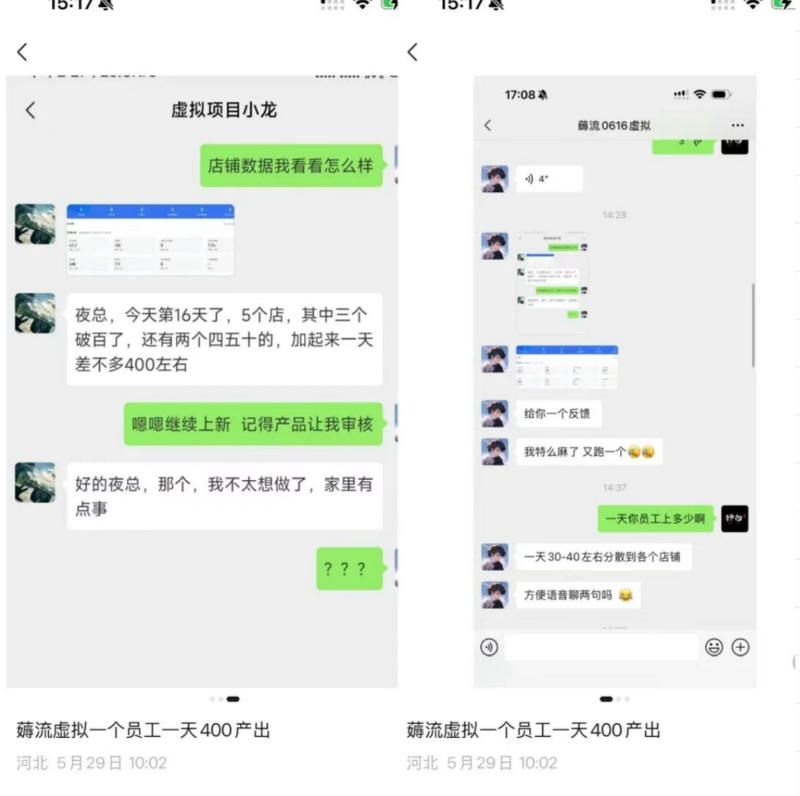 薅流虚拟2.0陪跑课,0成本AI流程化操作,淘宝+闲鱼同步玩法,上一次货两个平台有收益,单店每天200纯利润-海淘下载站