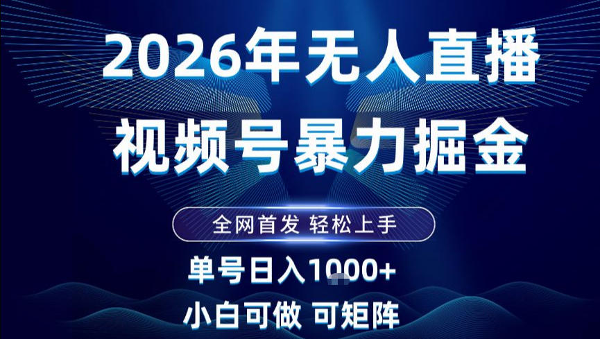 2026最新视频号无人直播掘金，全网首发，小白可以玩，长期稳定日入1k+【揭秘】-海淘下载站