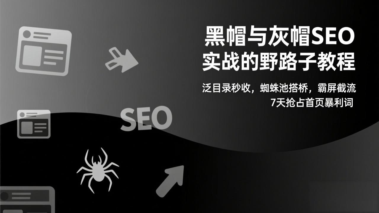 黑帽与灰帽SEO实战的野路子教程：泛目录秒收，蜘蛛池搭桥，霸屏截流，7天抢占首页暴利词-海淘下载站