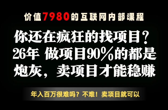 26年请不要疯狂的找项目了,卖项目远比你想象的暴利,你也可以月入10W+【揭秘】-海淘下载站