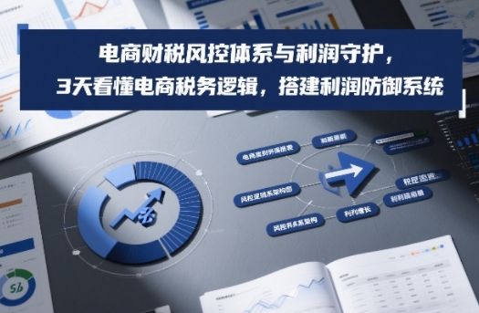 电商财税风控体系与利润守护，3天看懂电商税务逻辑，搭建利润防御系统-海淘下载站