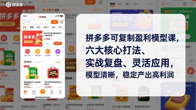 拼多多可复制盈利模型课，六大核心打法、实战复盘、灵活应用，模型清晰，稳定产出高利润-海淘下载站