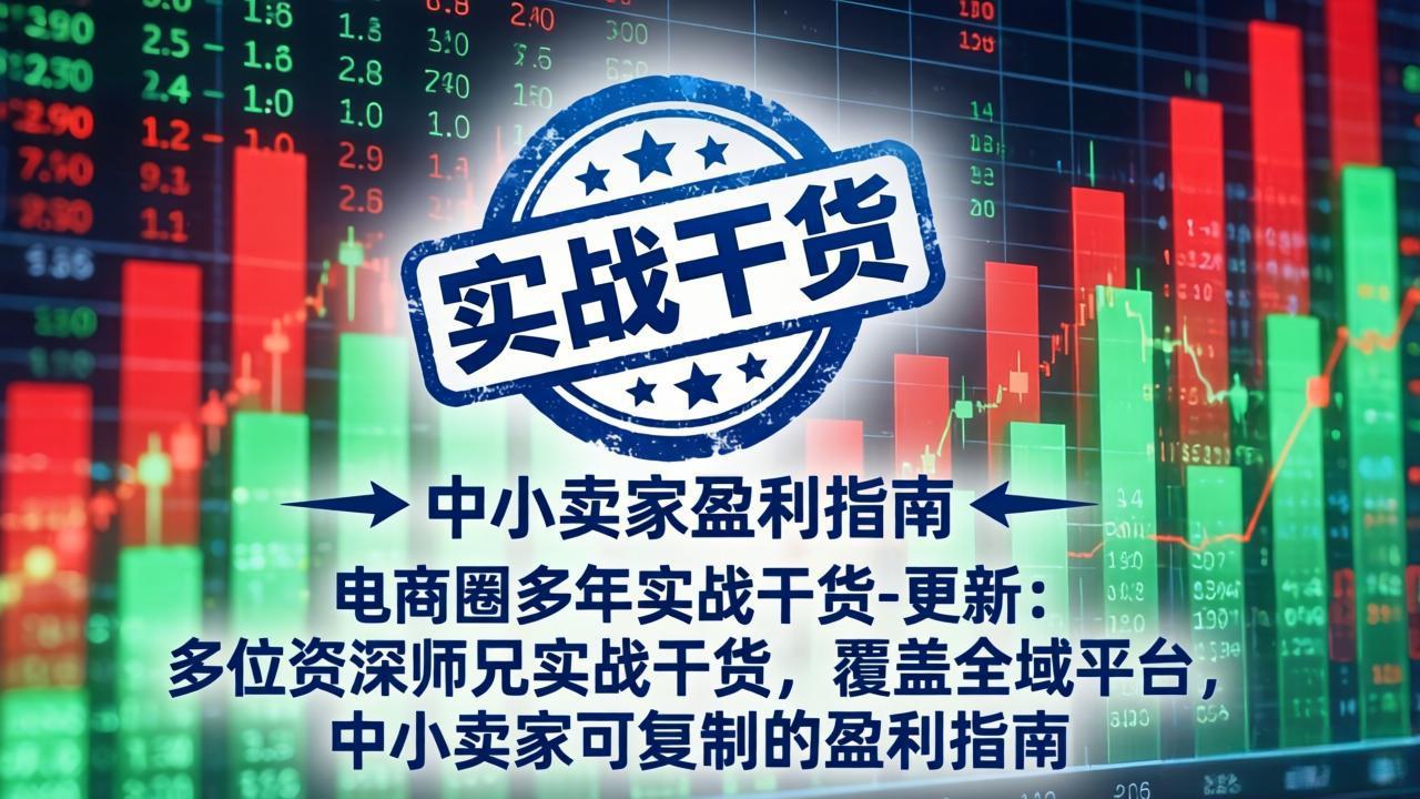 电商圈多年实战干货-更新5月10：多位资深师兄实战干货/覆盖全域平台，中小卖家可复制的盈利指南-海淘下载站