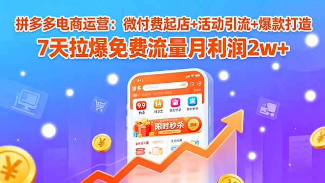 拼多多电商运营：微付费起店+活动引流+爆款打造 7天拉爆免费流量月利润2w+-海淘下载站