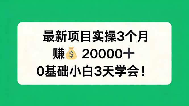 最新项目实操3个月，赚钱20000+，0基础小白3天学会！-海淘下载站