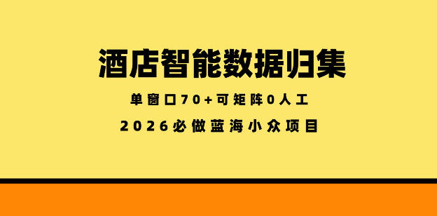 酒店智能数据归集，小众蓝海已经稳定半年之久，单窗口70+零成本矩阵开干【揭秘】-海淘下载站