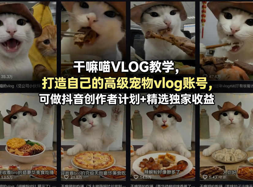 干嘛喵VLOG教学，打造自己的高级宠物vlog账号，可做抖音创作者计划+精选独家收益-海淘下载站