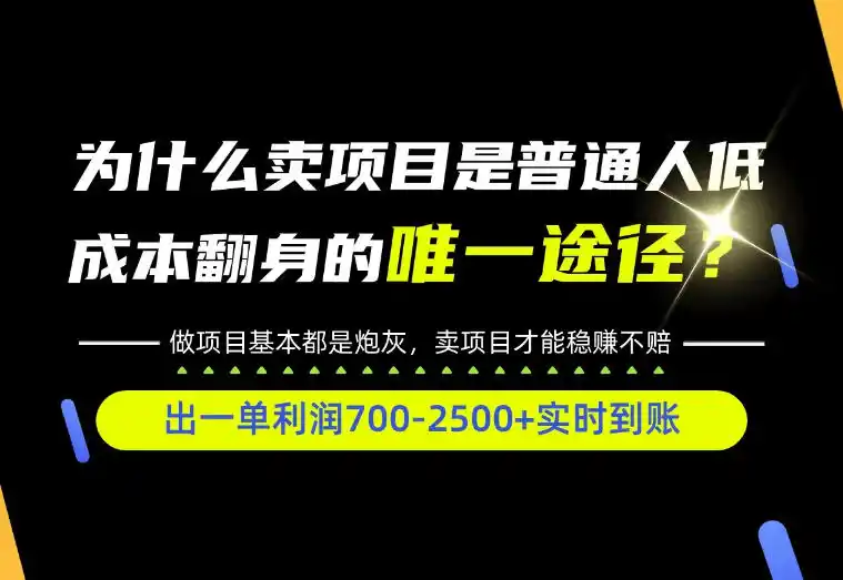 普通人如何靠互联网賺取自己的第一桶金!全类目实操型教学,看完你全都懂了!【揭秘】-海淘下载站