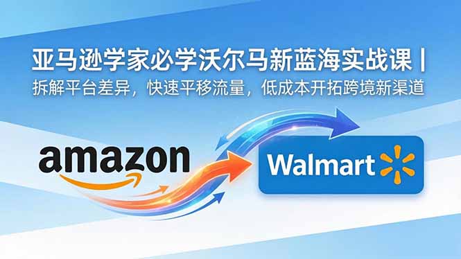 亚马逊卖家必学沃尔玛新蓝海实战课|拆解平台差异,快速平移流量,低成本开拓跨境新渠道-海淘下载站