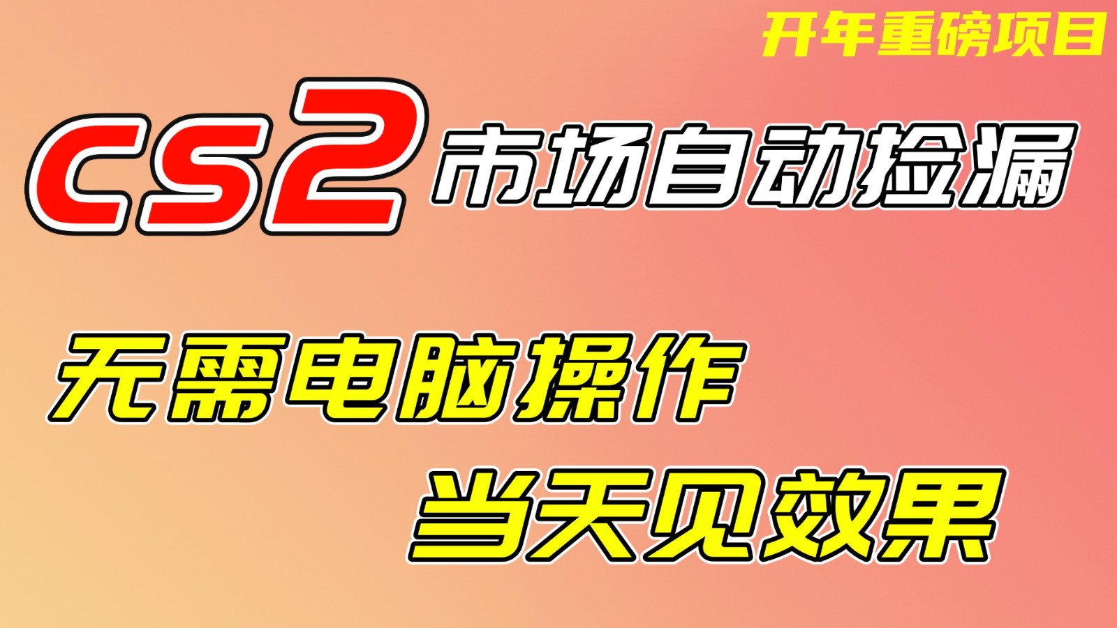 CS2市场挂机项，无需电脑操作，无需进入游戏，当天见效果，支持任何形式验证-海淘下载站