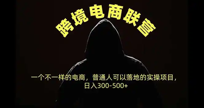 跨境电商联营，一个不一样的电商，普通人可操作日入300-500+-海淘下载站
