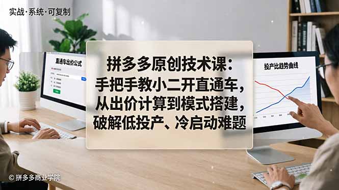 拼多多原创技术课：手把手教小二开直通车，从出价计算到模式搭建，破解低投产、冷启动难题-海淘下载站