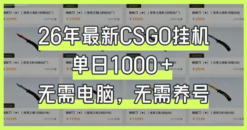 26年最新CSGO挂G系统，单日1000+，无需电脑，无需养号，0基础可上手【揭秘】-海淘下载站