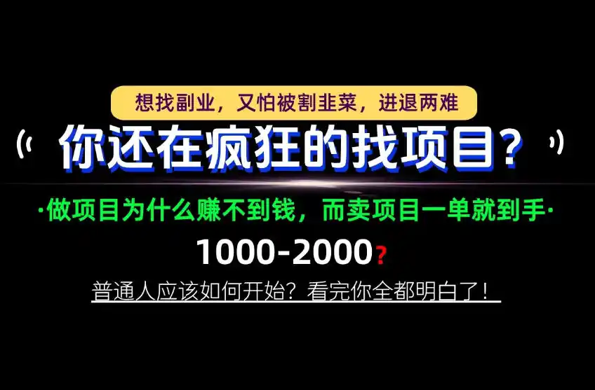 你还在疯狂的找项目?别傻了!卖项目才是真正的一本万利!怎么做,看完你全都明白!【揭秘】-海淘下载站
