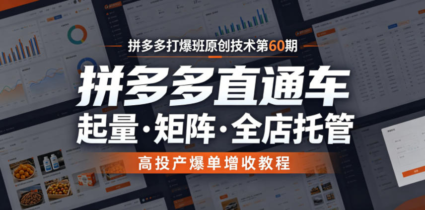 拼多多打爆班原创技术第60期，拼多多直通车，起量・矩阵・全店托管，高投产爆单增收教程-海淘下载站