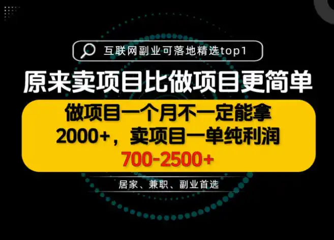 一单利润700-2.5K+，为什么我们要卖项目而不是做项目，我们普通人应该怎样开始？【揭秘】-海淘下载站