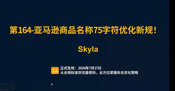 亚马逊跨境实战课：全品类选品逻辑｜SP/SB/SD广告精细化｜新品打爆旺季爆单全套运营教程-海淘下载站