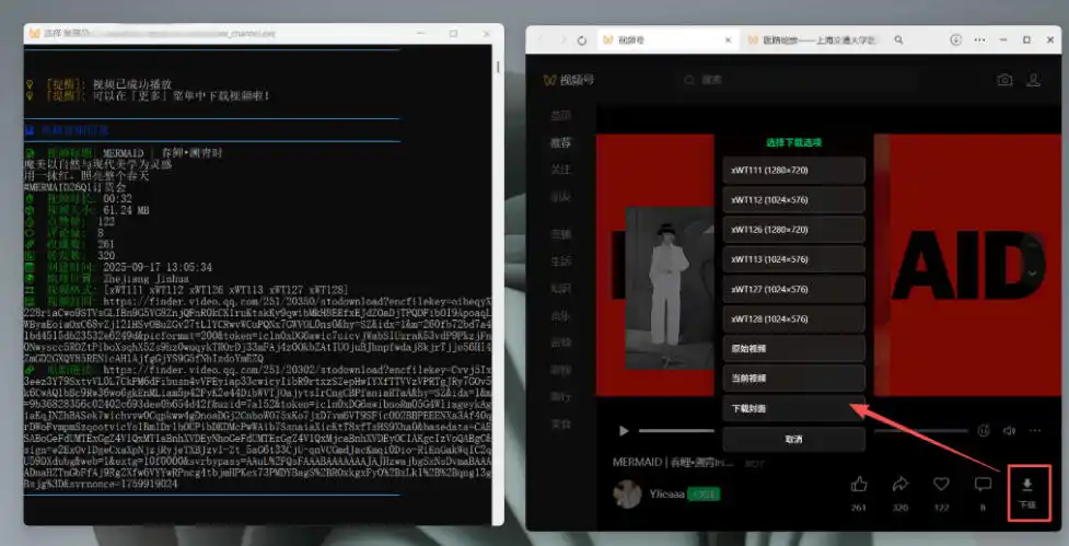 Github热门工具,视频号下载神器又来了!一键注入下载按钮,轻松下载,使用便捷wx_channel-海淘下载站