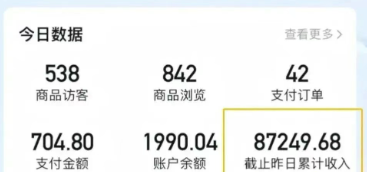 2026新手也能操作的带货玩法，用这个方法零门槛，轻松月入10000+-海淘下载站