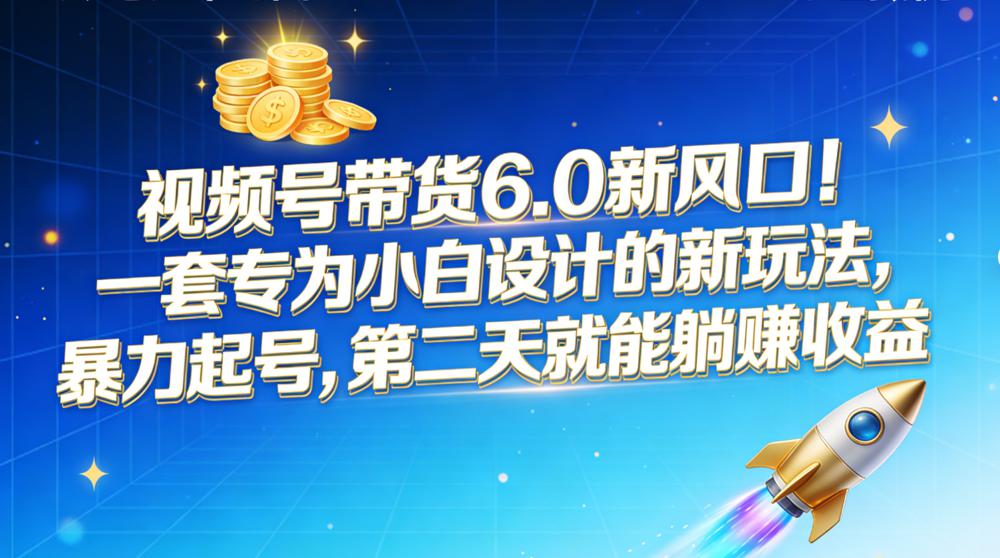 视频号带货 6.0 新风口！一套专为小白设计的新玩法，暴力起号，第二天就能躺赚收益-海淘下载站