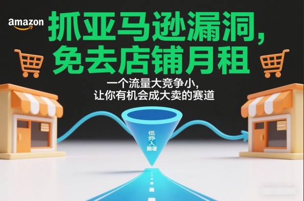 抓亚马逊漏洞，免去店铺月租，一个流量大竞争小，让你有机会成大卖的赛道-海淘下载站